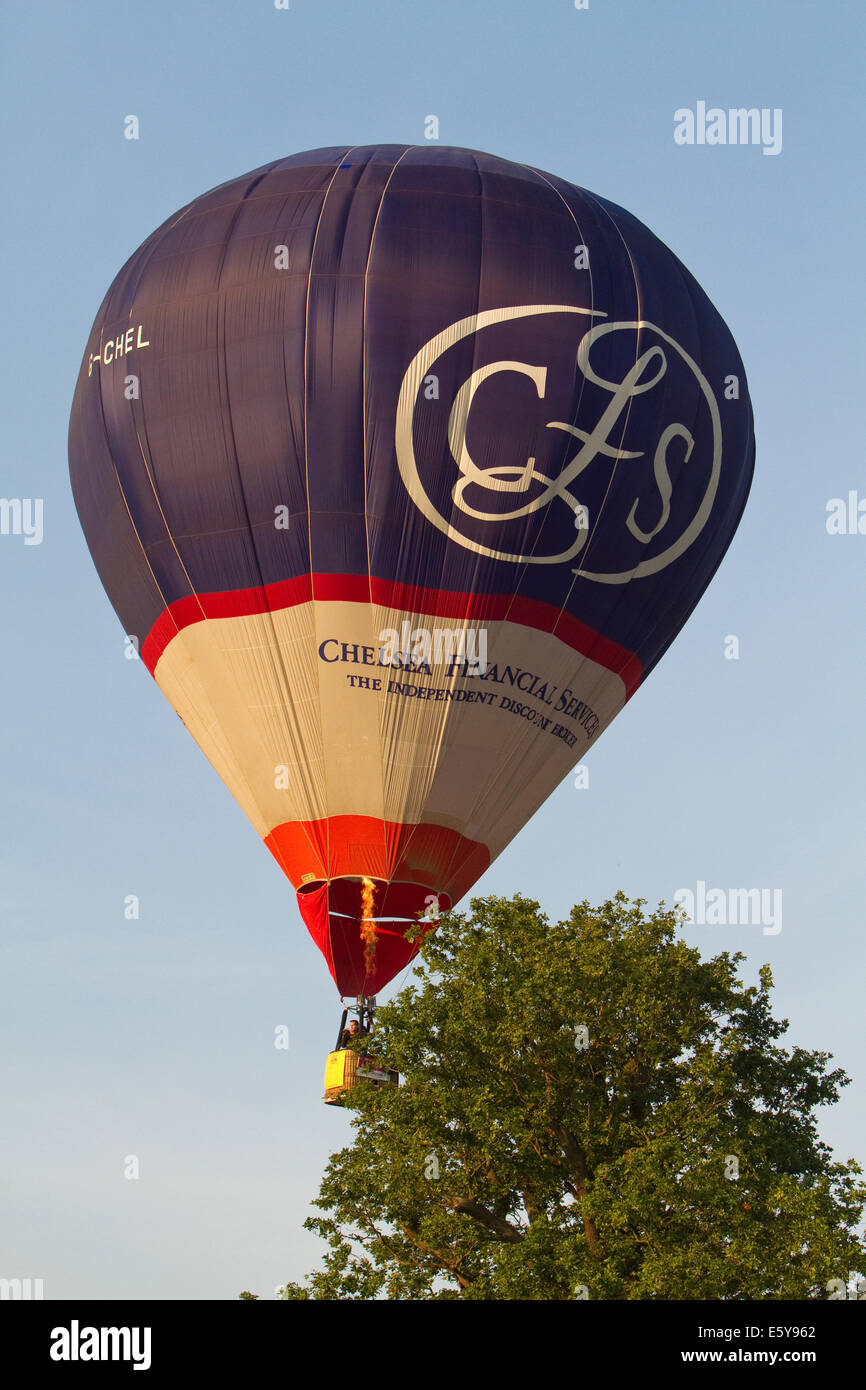 Bristol, UK. 8th August, 2014. Balloons lift off during the Bristol International Balloon Fiesta Credit: Keith Larby/Alamy Live News Stock Photo