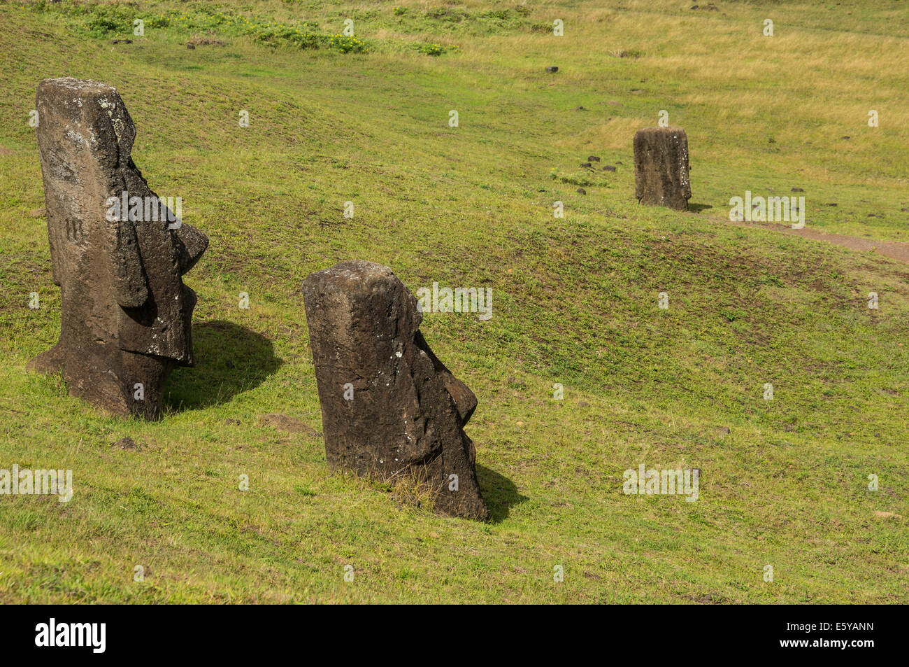 Easter Island moai statues various Stock Photo Alamy