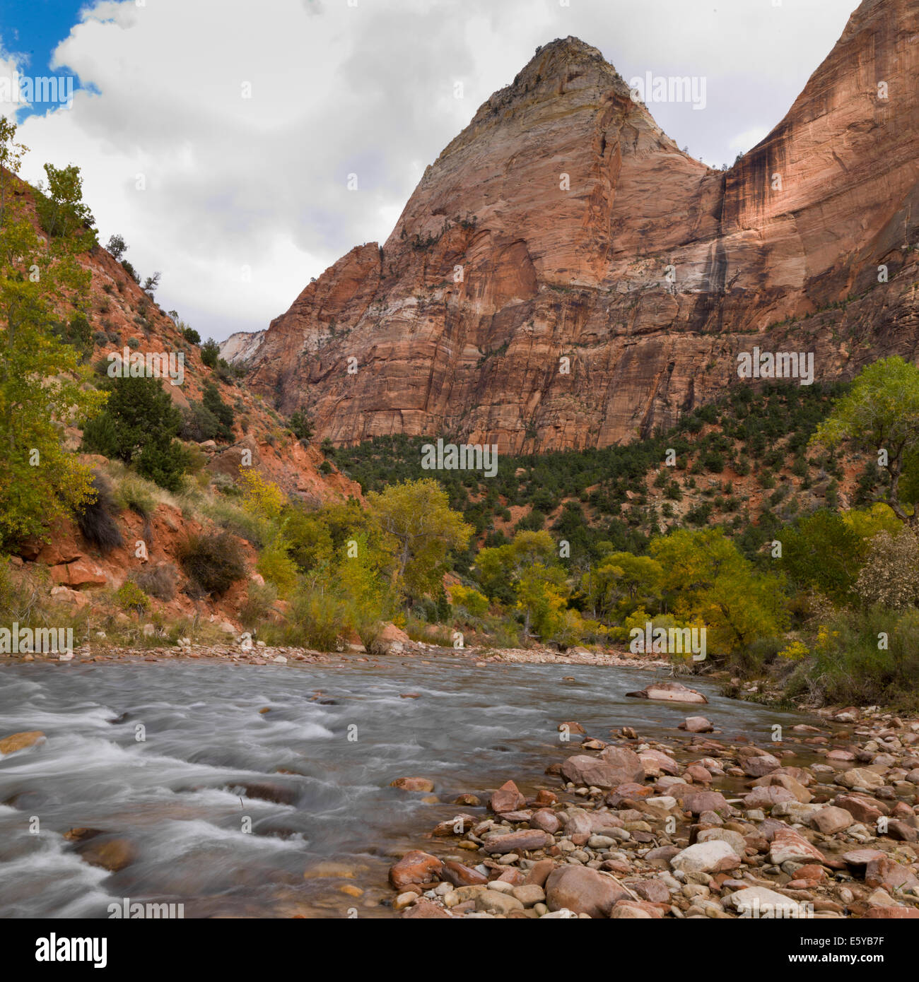 Tranquil Scene  Utah Zion National Park Stock Photo