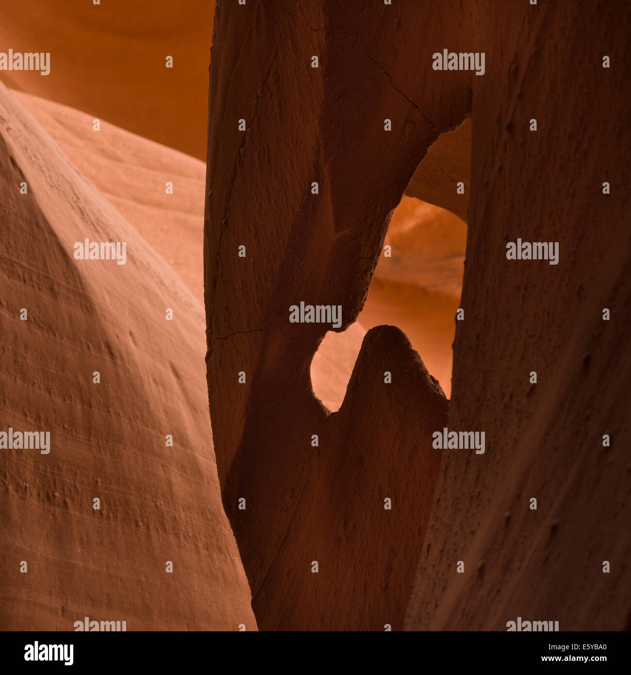 Corkscrew Canyon, Lower Antelope Canyon, Antelope Canyon, Page, Arizona