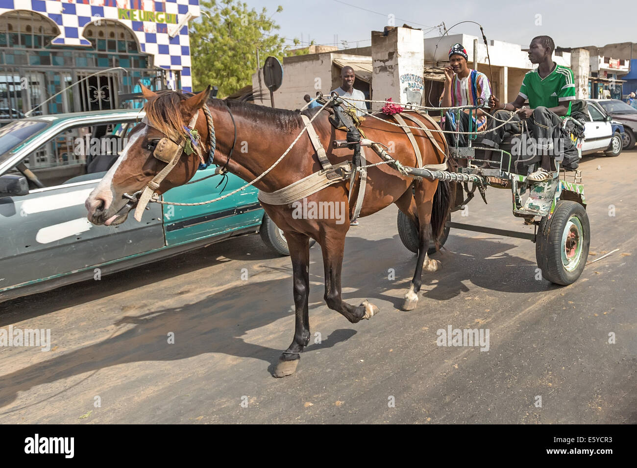 Journey to St Louis, Ngoumba village Senegal Horse & cart Stock
