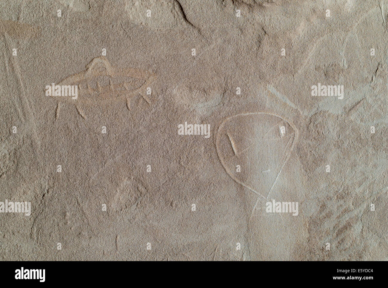 Cave painting on a rock, Utah, USA Stock Photo Alamy