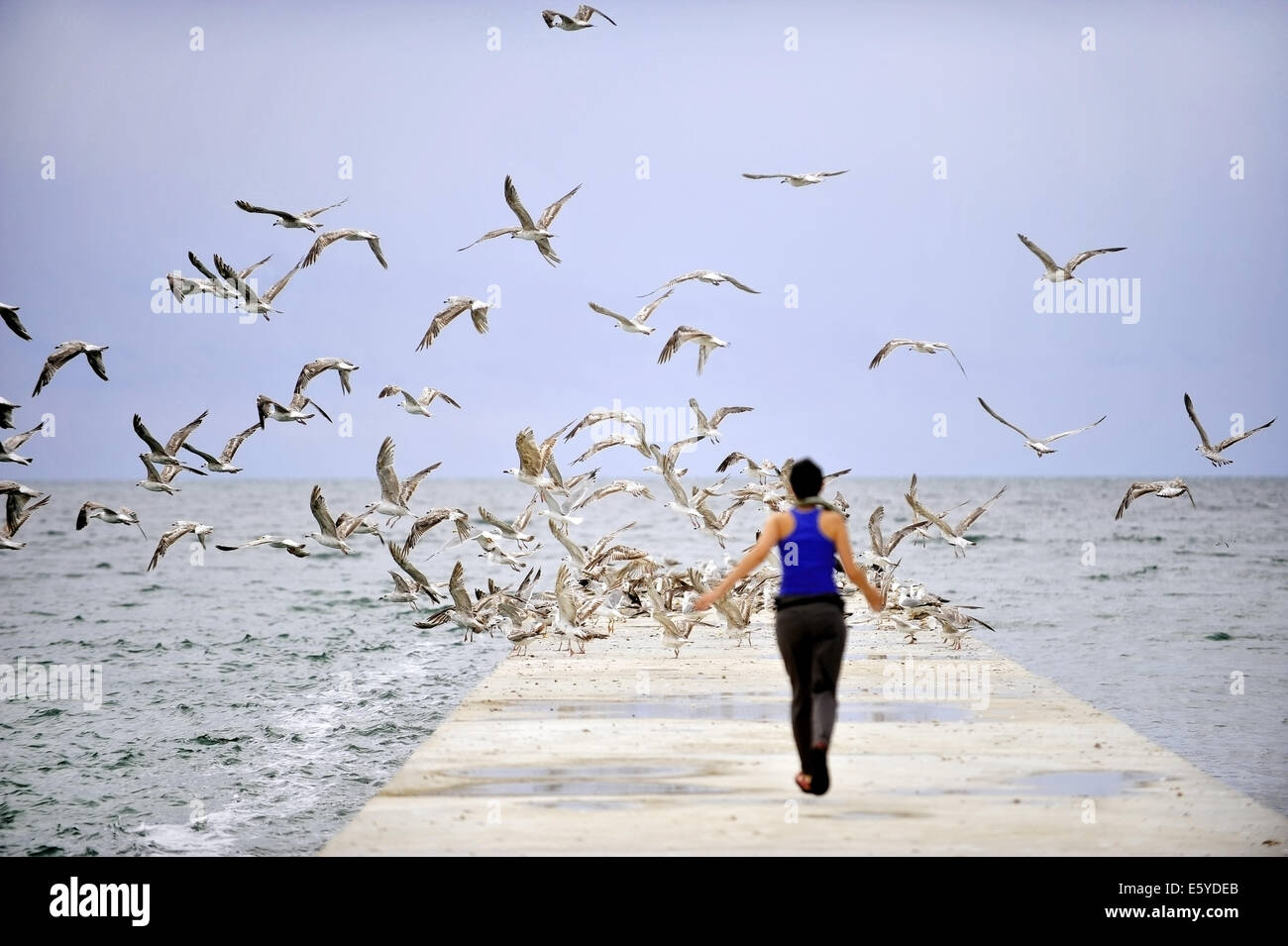 Girl running towards the sea on a pontoon full of seagulls Stock Photo