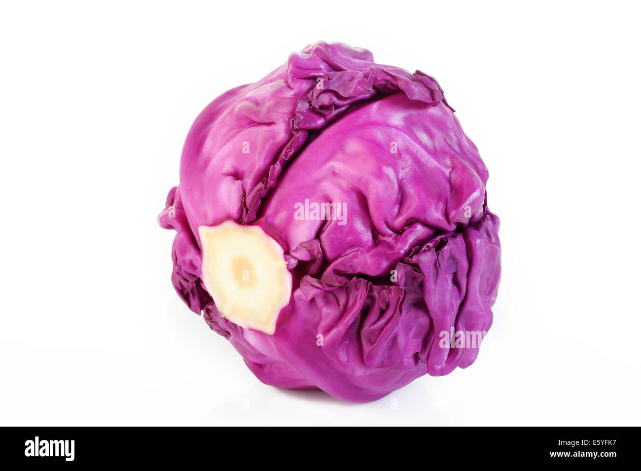 red cabbage isolated on white Stock Photo