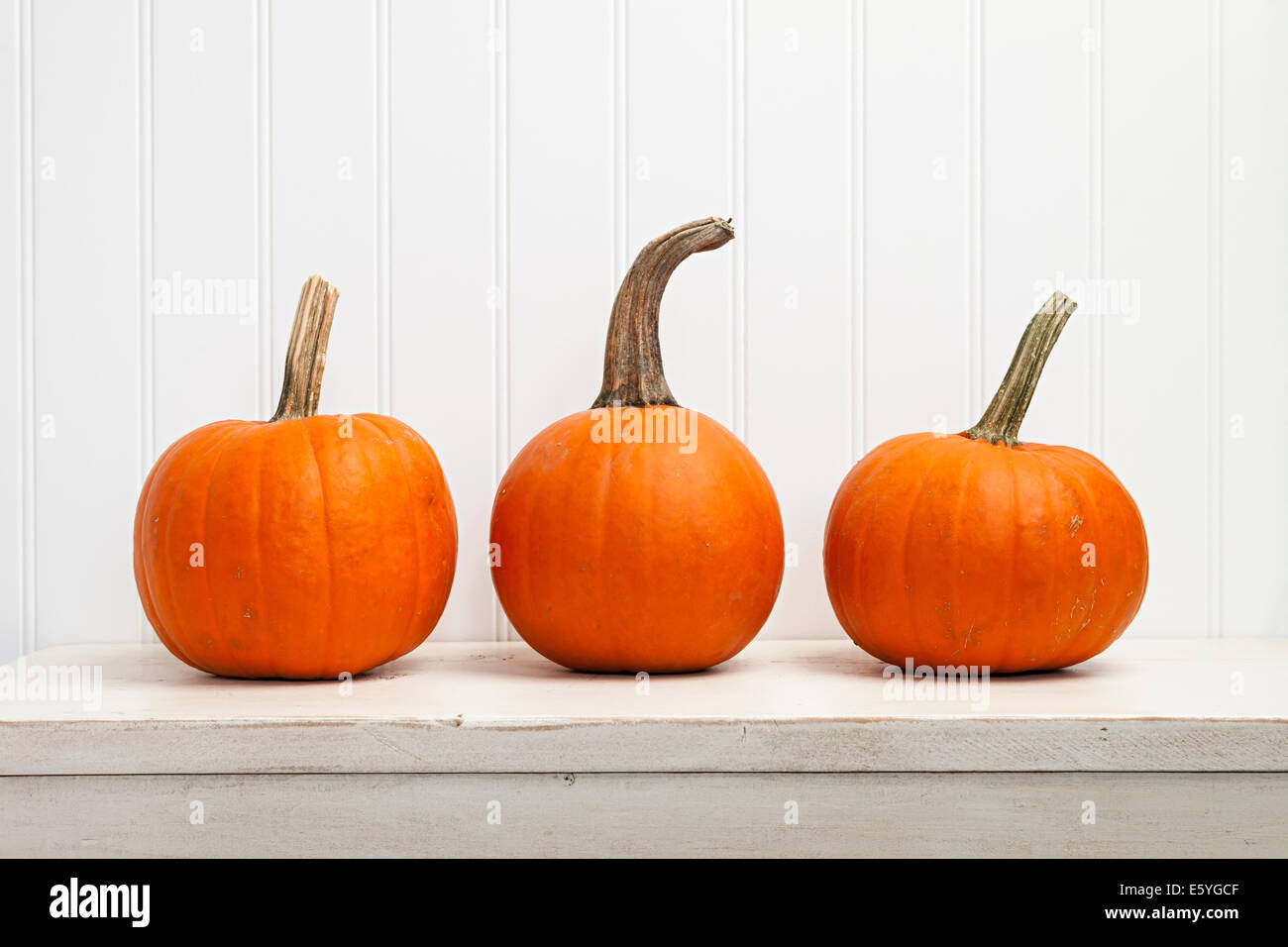 Three small pumpkins in a row against white background Stock Photo - Alamy