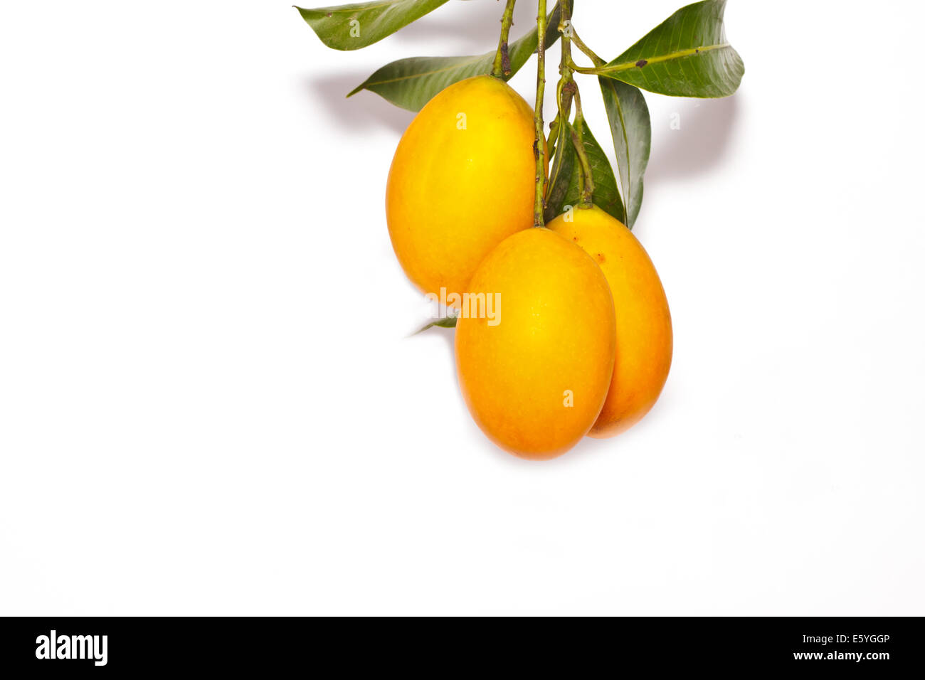 the yellow fruit Stock Photo Alamy