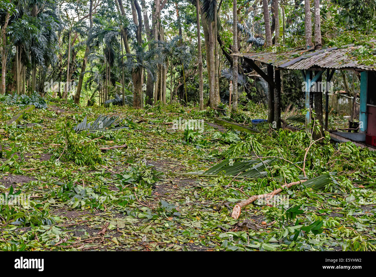 Typhoon damage philippines hi-res stock photography and images - Alamy
