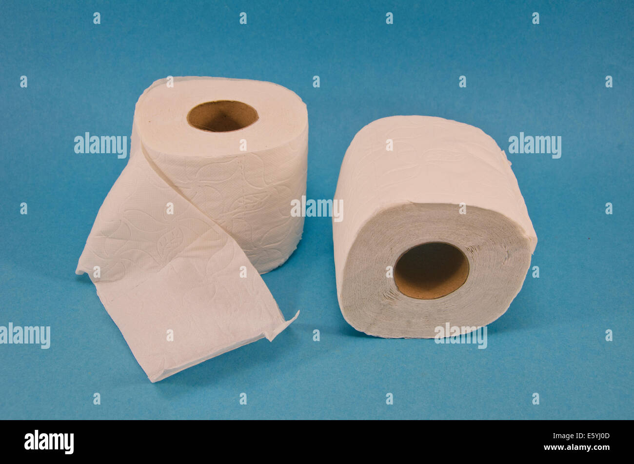 Soft Toilet Paper on blue background. Two white rolls Stock Photo