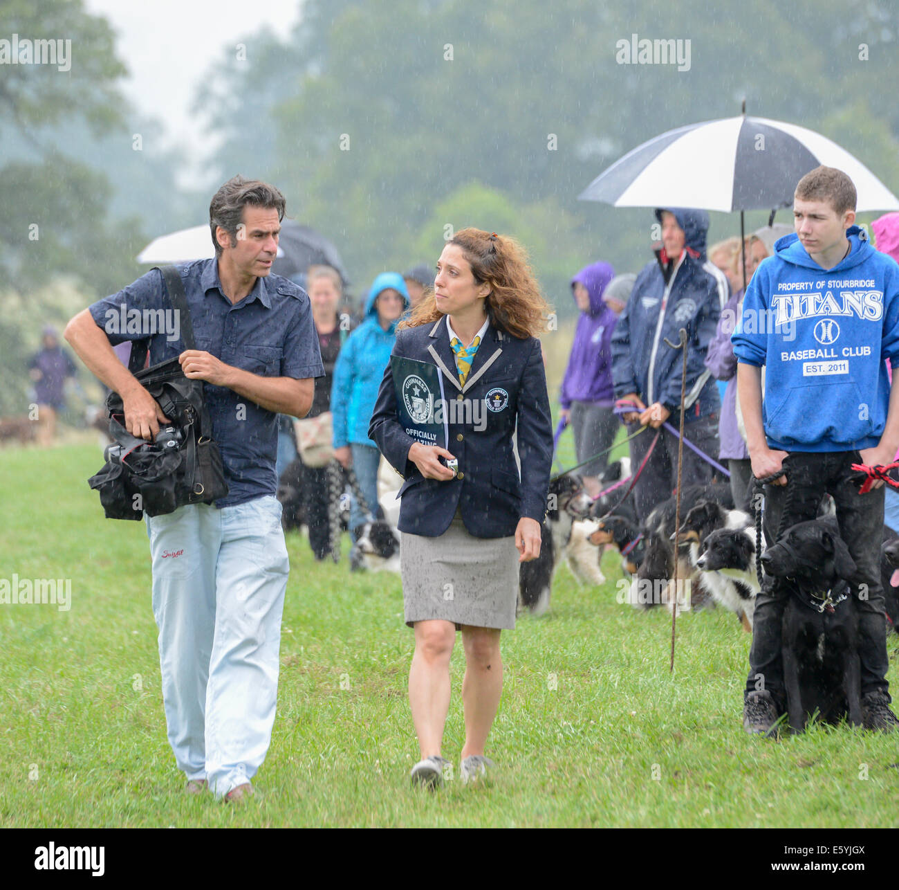 Rockingham castle, UK. 8th August, 2014. In the pouring rain at Rockingham castle, England, on the evening of friday 8 august 2014, a Guinness official inspects an attempt (organised by the Kennel Club) to beat the Guinness world record for the largest simultaneous dog stay. About 220 dogs attended, and so the record of 627 remains unbeaten. Credit:  miscellany/Alamy Live News Stock Photo