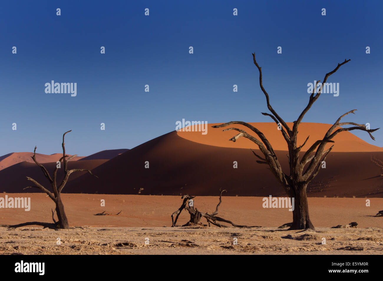 Red Sand Dunes and Dead Trees, Dead Vlei, Namibia Stock Photo