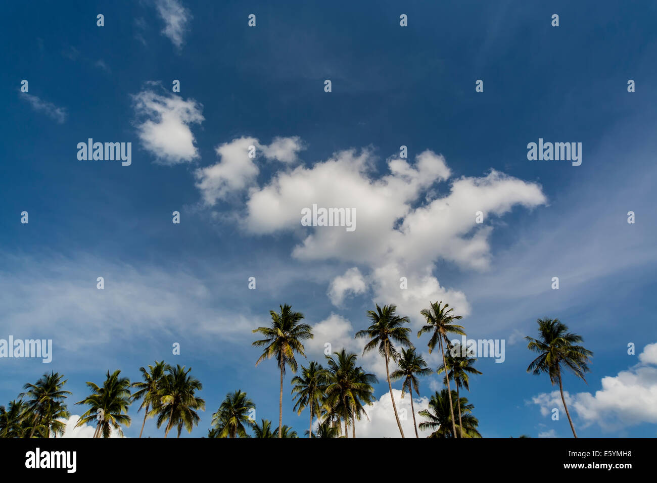 Negombo beach, Sri Lanka Stock Photo
