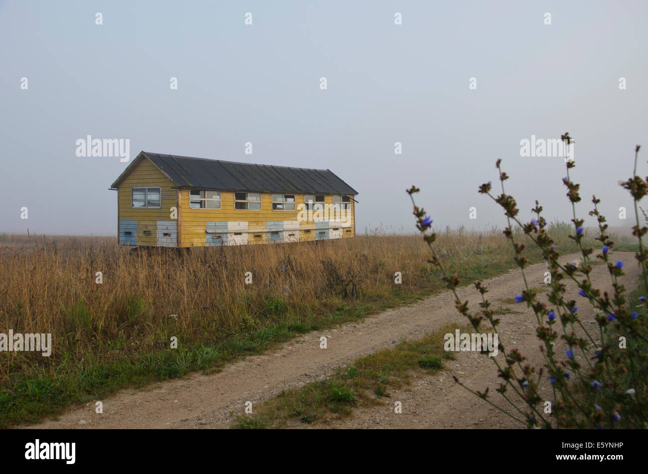 apiary bee house near road on summer end field and morning mist fog Stock Photo