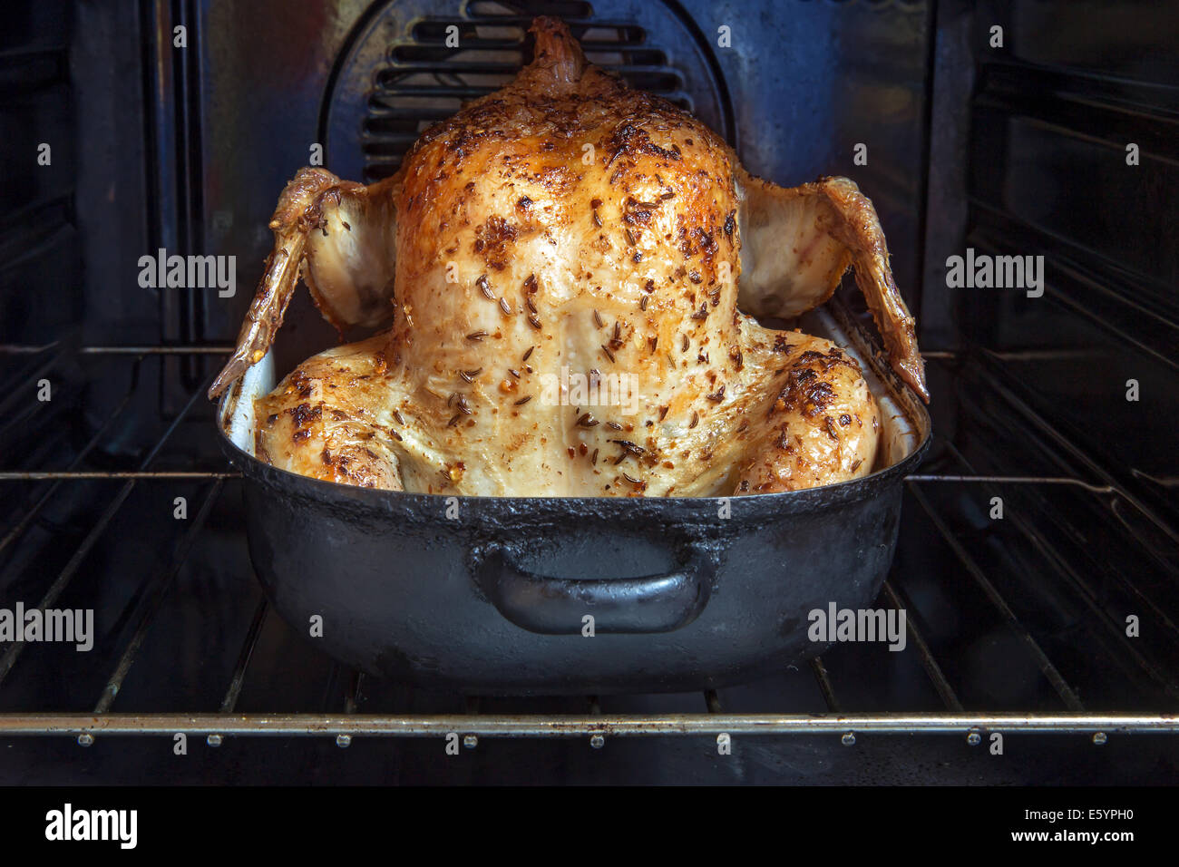 https://c8.alamy.com/comp/E5YPH0/baked-chicken-in-a-roasting-pan-in-oven-E5YPH0.jpg