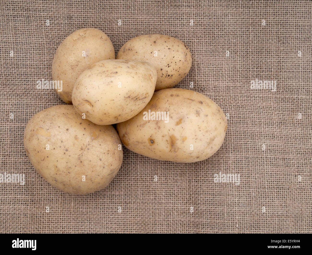 Staple food.Uncooked potatoes on rustic sack, hessian background. Stock Photo