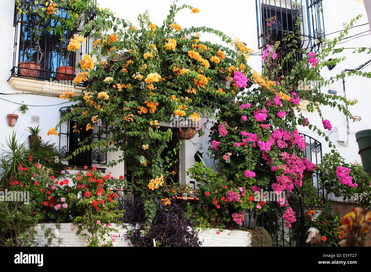 House covered with plants hires stock photography and images Alamy