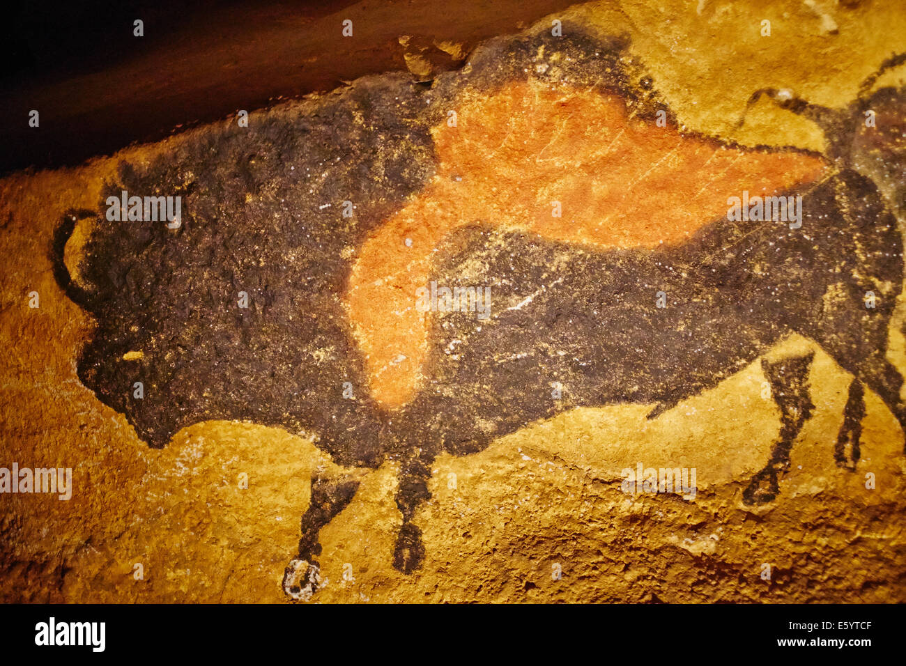 France, Aquitaine, Dordogne, Perigord Noir, Dordogne valley, Le Thot, Cro-Magnon space, Lascaux copy Stock Photo