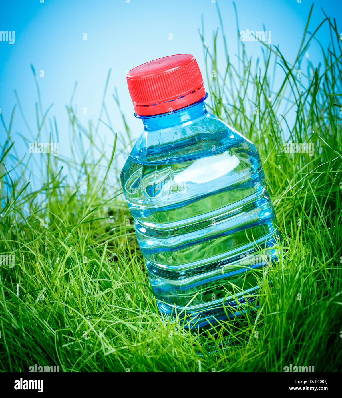 Bottle of water on the green grass Stock Photo - Alamy
