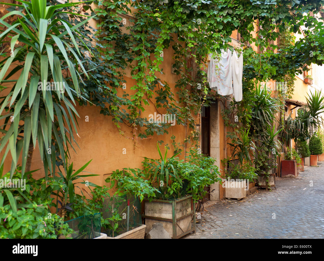 Characteristic Alley In Rome Italy Stock Photo Alamy