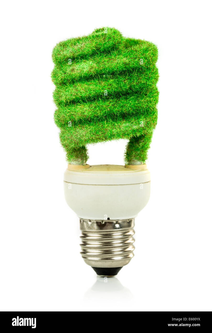Eco light bulb isolated on white background Stock Photo