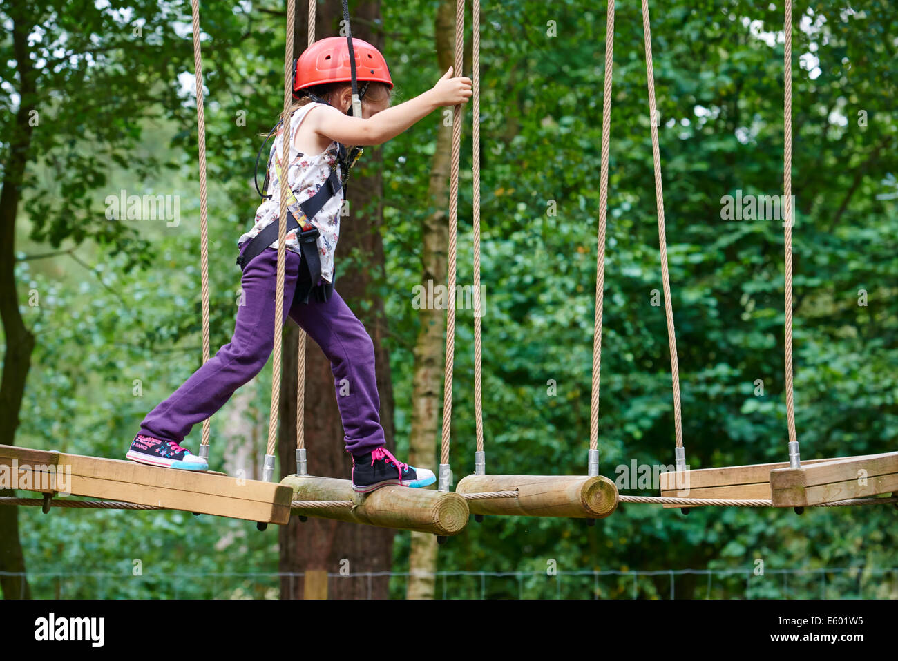 Center parcs zip wire hires stock photography and images Alamy