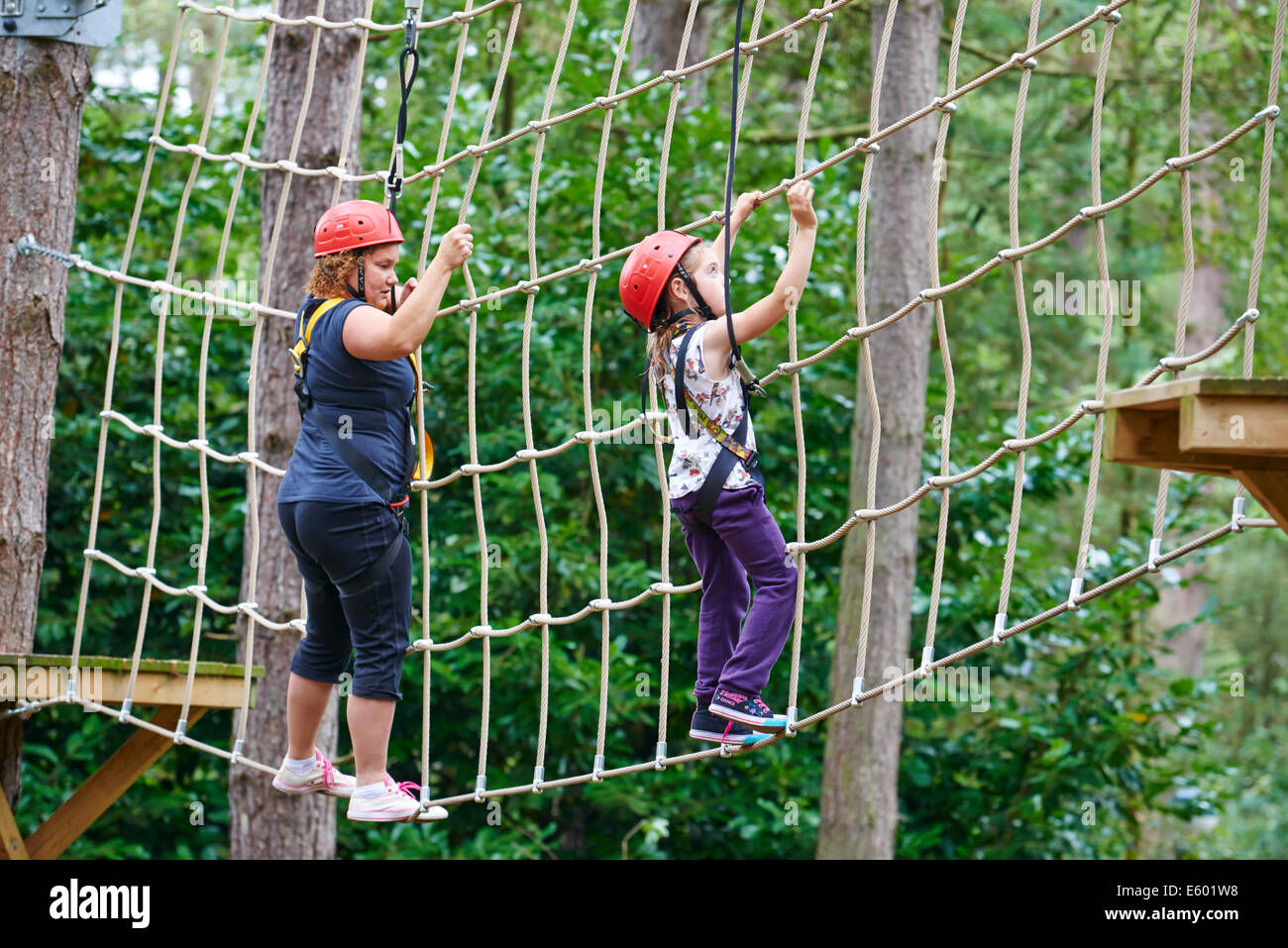 Aerial Tree Trekking Center Parcs Sherwood Forest UK Stock Photo Alamy
