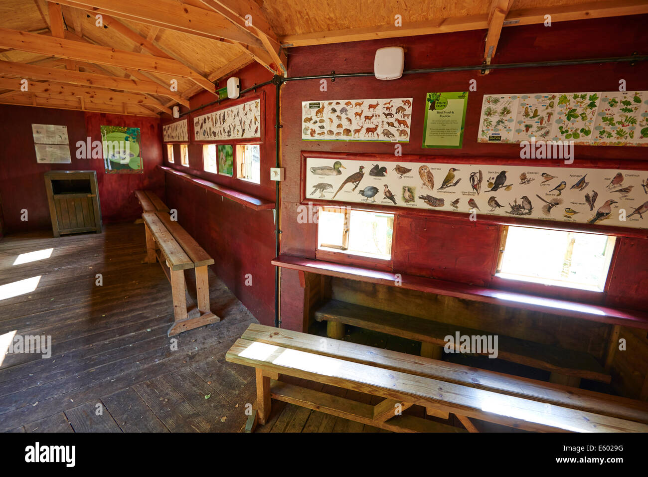 Inside A Wildlife Feeding Hide With A Pictorial Guide To The Wildlife Likely To Be Seen Center Parcs Sherwood Forest UK Stock Photo