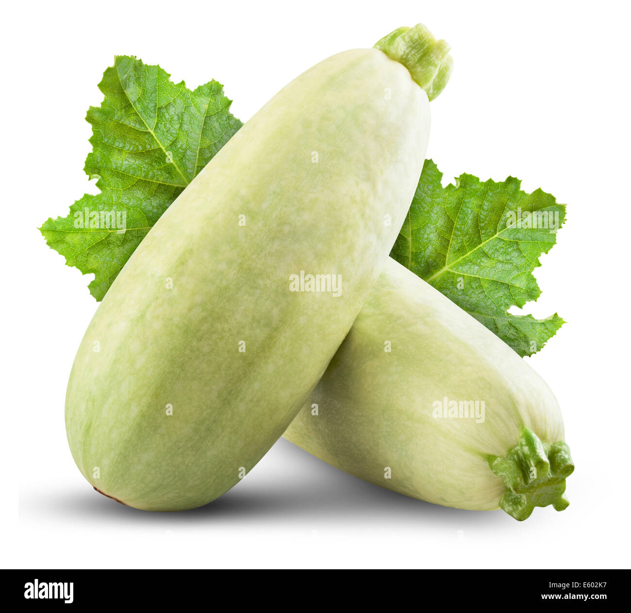 Fresh vegetable marrow isolated on white background. Clipping Path