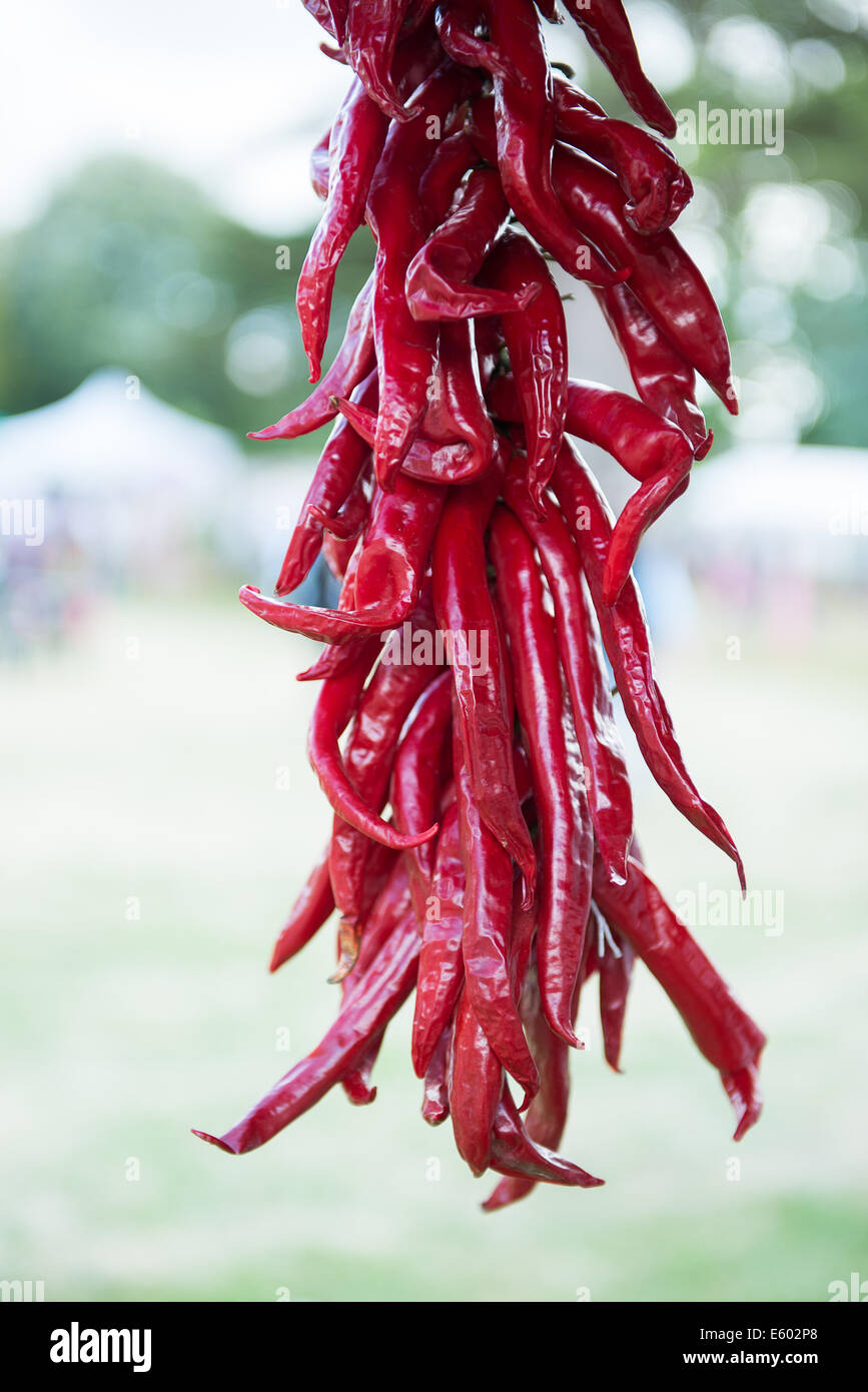 West Dean, Chichester, UK. 9th August, 2014. Red chilli peppers hanging from the roof of one of the stalls at the Chilli Fiesta at West Dean, August 2014. UK weather.  Credit:  MeonStock/Alamy Live News Stock Photo
