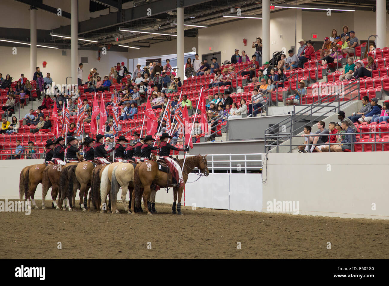 Calgary stampede riders on horseback in arena Stock Photo