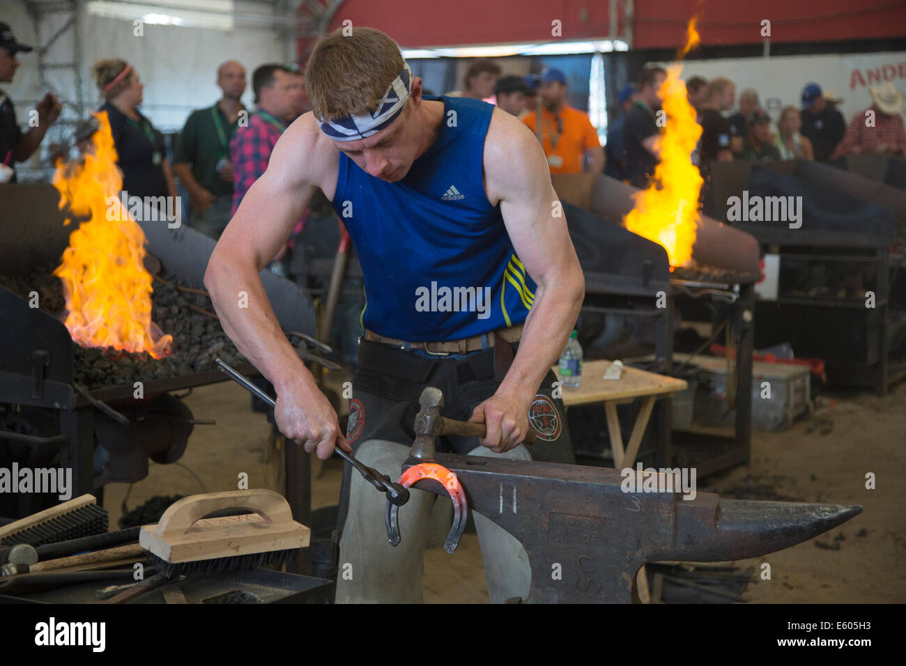 Farrier shaping hot shoe on anvil, competing in the final round of the World Championships Blacksmiths' competition at the Calgary Stampede, Canada Stock Photo