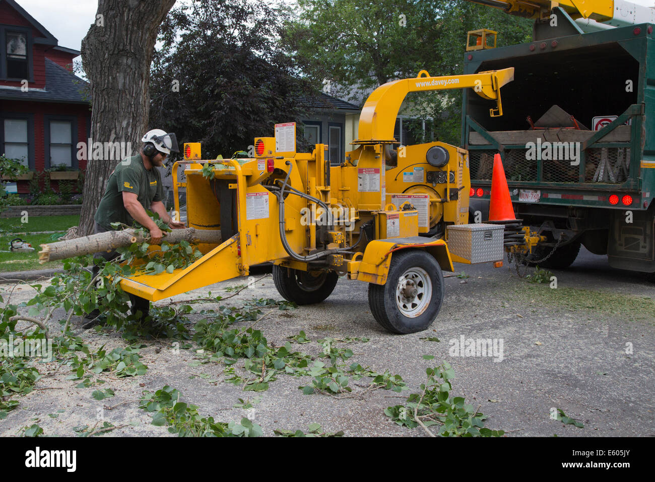Removing trees hires stock photography and images Alamy