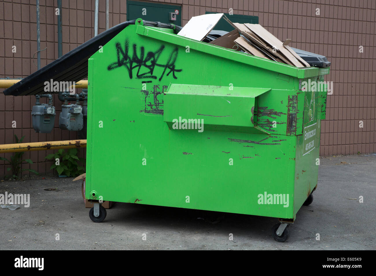 Cardboard in a green recycle bin Stock Photo Alamy