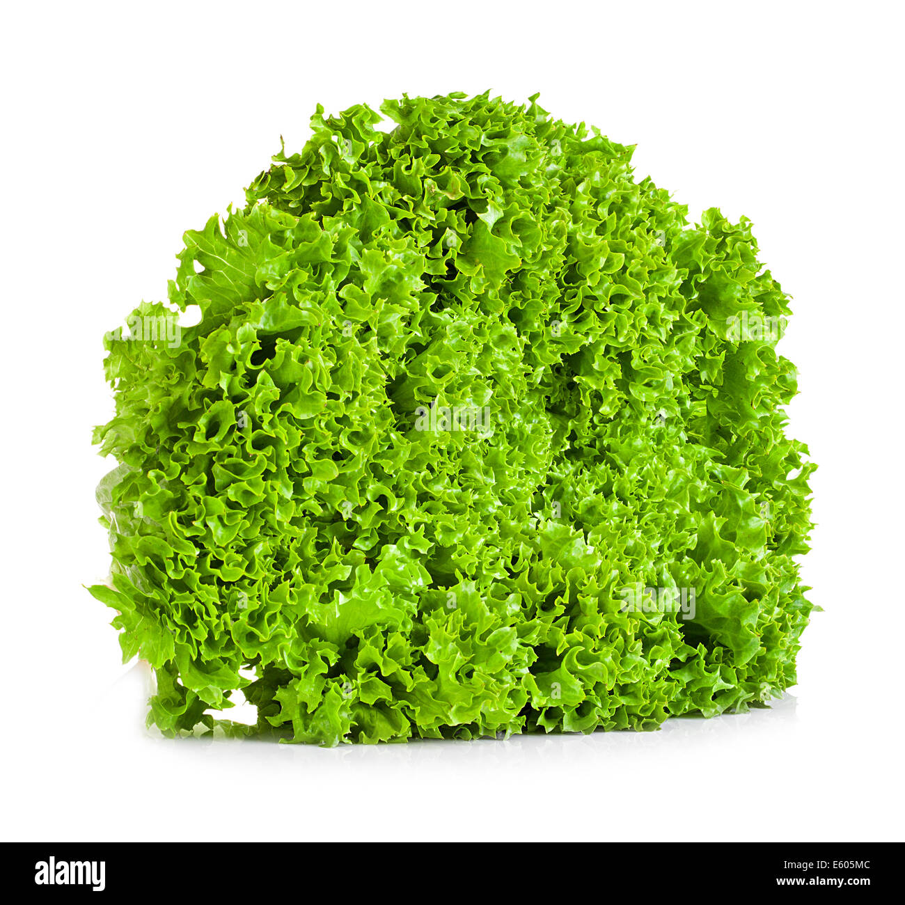 Eating lettuce Cut Out Stock Images & Pictures Alamy