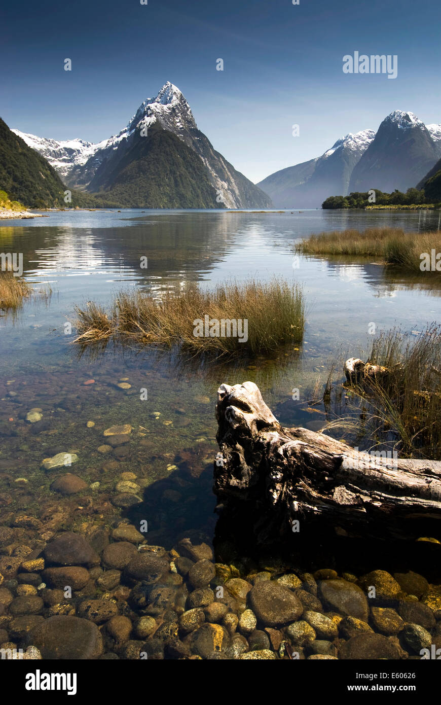 Mitre Peak, Milford Sound, Fiordland National Park, South Island, New Zealand Stock Photo