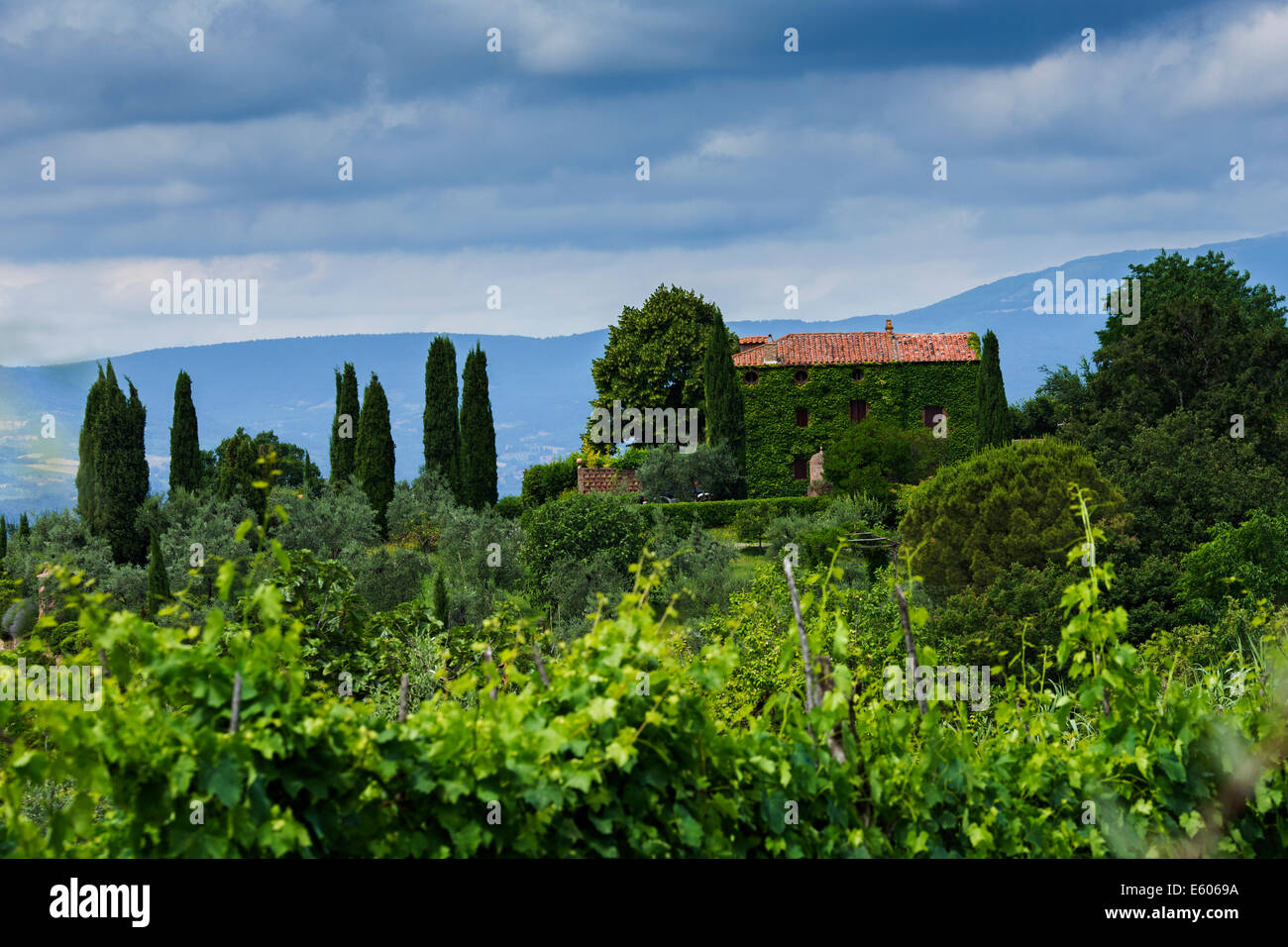 Typical Italian Landscape in Monteleone d'Orvieto - Umbria. Stock Photo