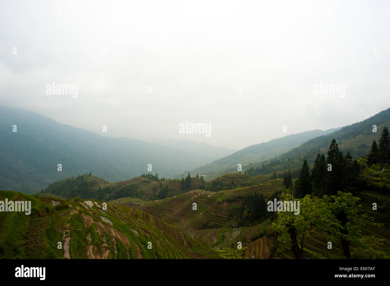Landscape of the Long Ji Rice Terraces in Guilin, Guanxi, China Stock Photo