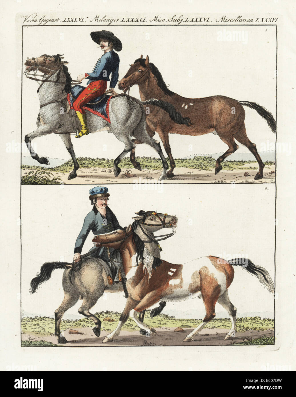 Breeds of horses, 18th century: Hungarian and small Polish. Stock Photo