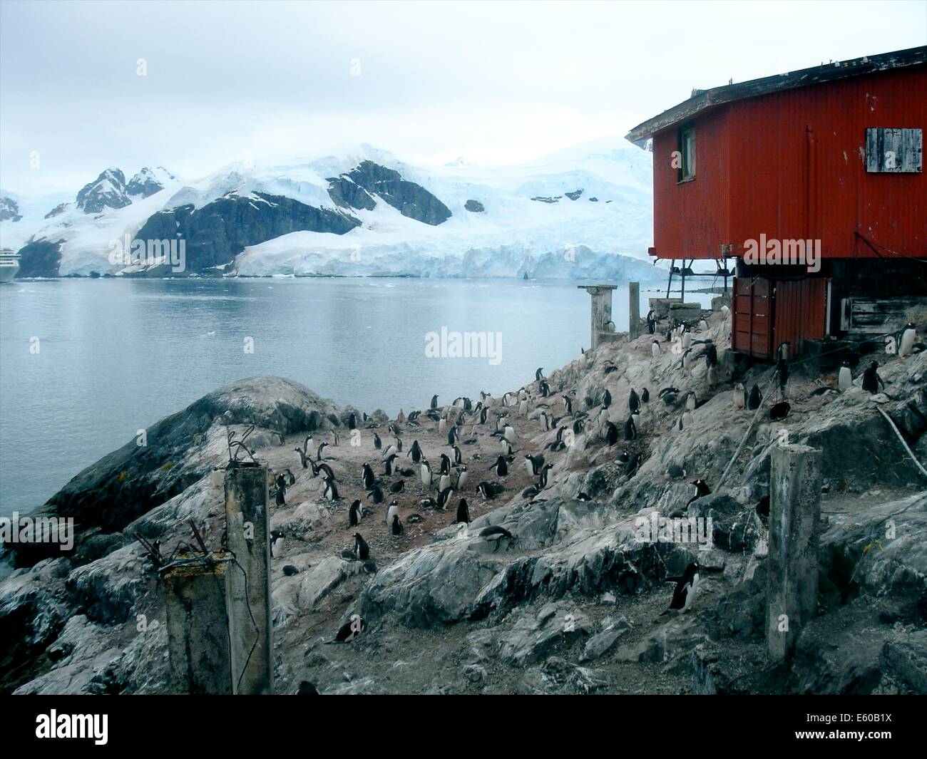 Brown Station, Argentine Antarctic base and scientific research station and home to Gentou penguins on the Antarctic peninsula. Stock Photo