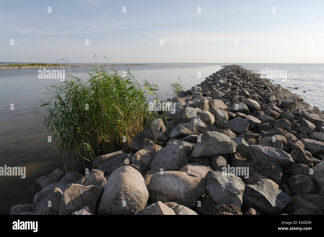 The beginning of River Suur-Emajõgi from Lake Võrtsjärv, Estonia, EU Stock Photo