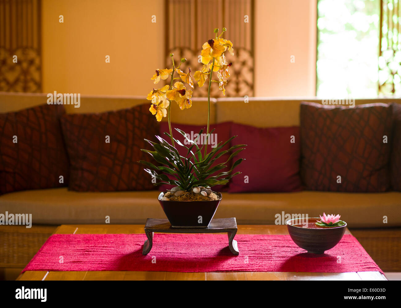 Orchid in vase on the table Stock Photo - Alamy