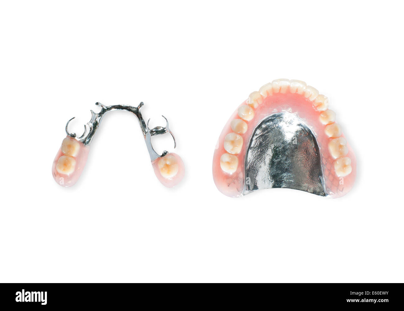 Studio shot of dentures Stock Photo