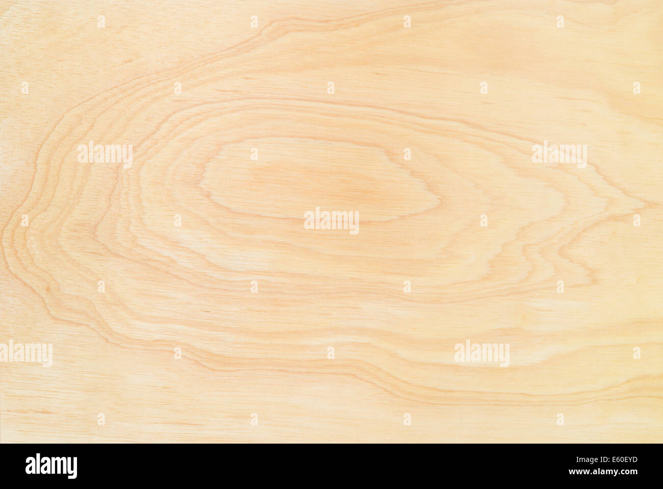 Detail of a wooden textured Stock Photo