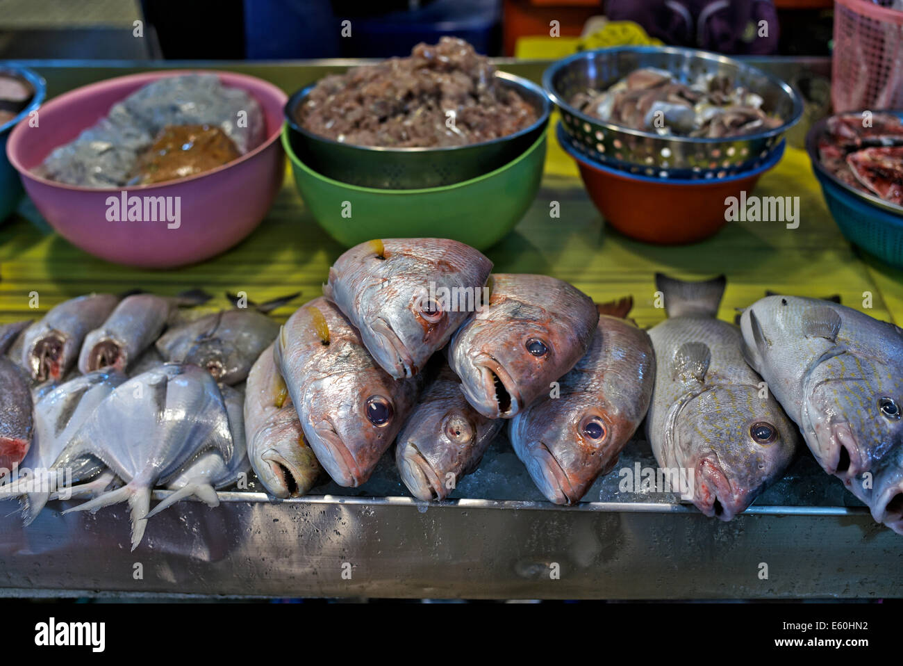 Daily catch of fresh fish on display and for sale at a Thailand market ...