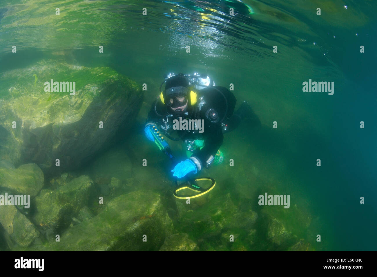 Diver with the metal detector searching for underwater treasure, lake Baikal, Siberia, Russia, Eurasia Stock Photo