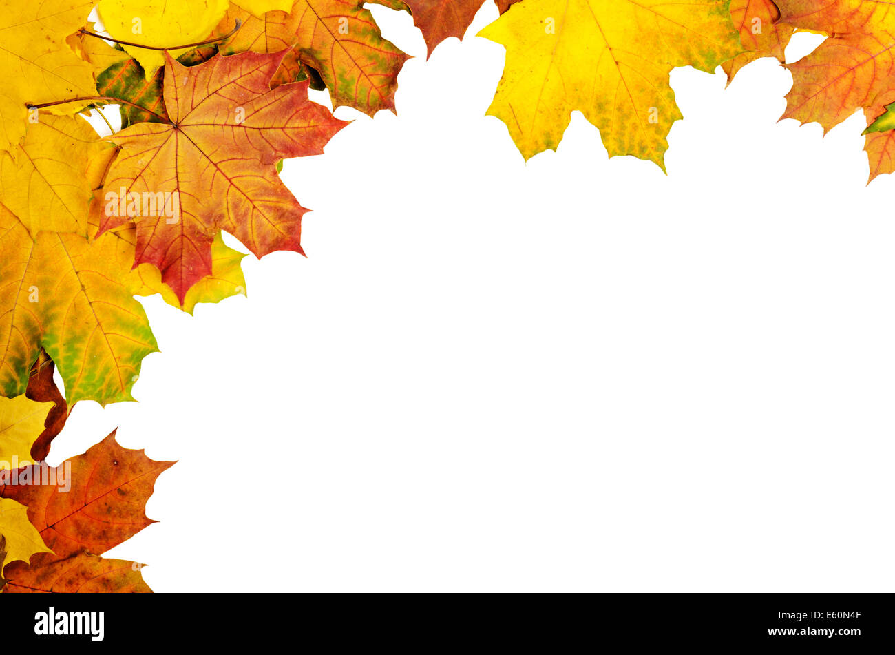 Autumn leaves frame Stock Photo - Alamy