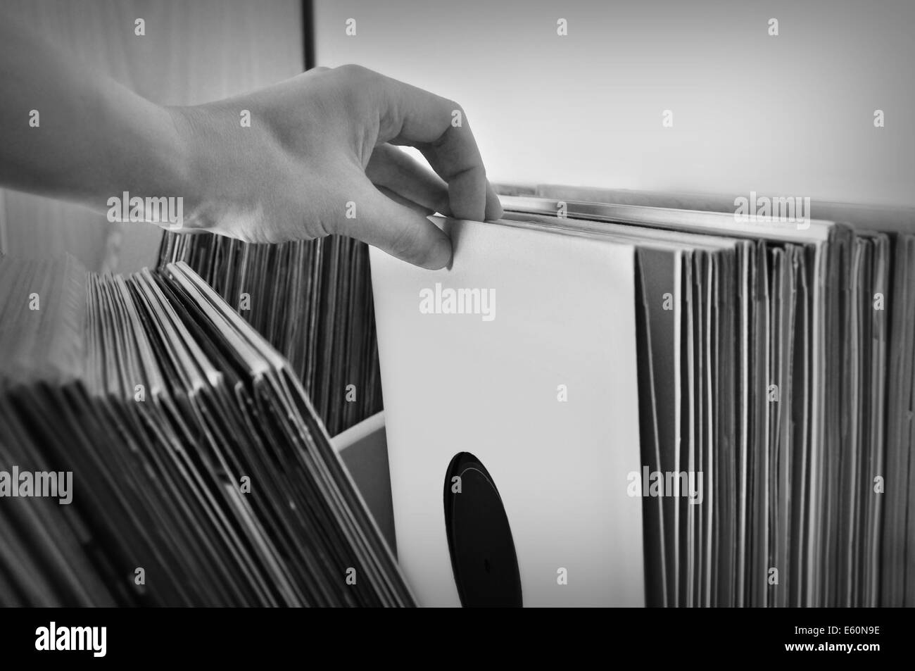 Crate digging through vinyl records music collection. Black and white. Stock Photo