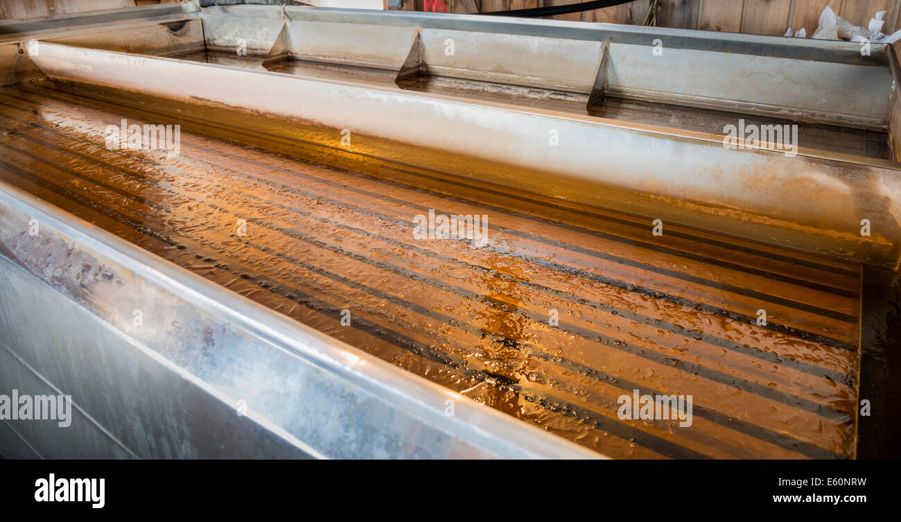 Maple syrup in traditional evaporator Stock Photo Alamy