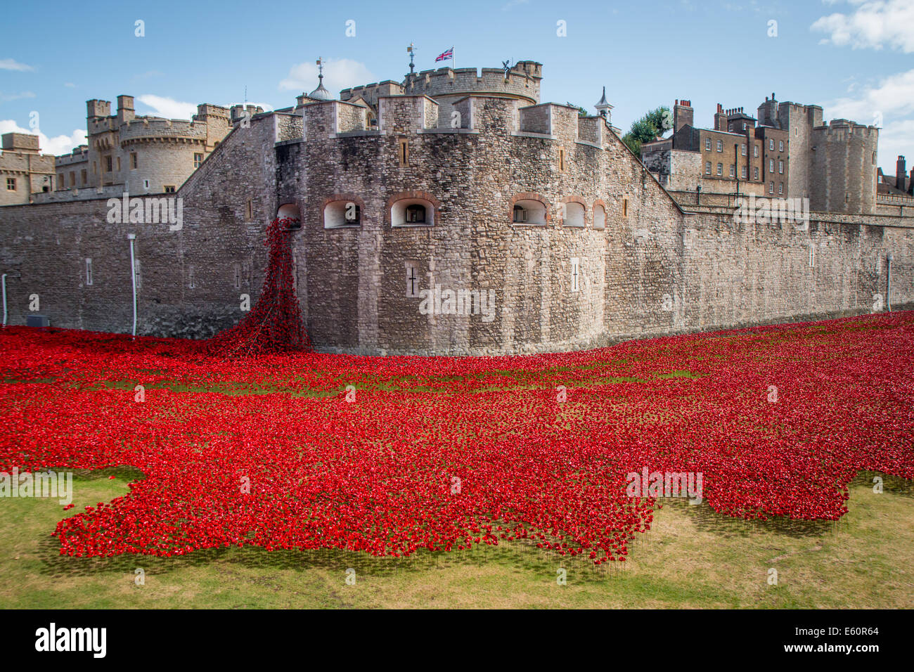 Moat of the Tower of London with the poppies and the 'weeping window' Stock Photo