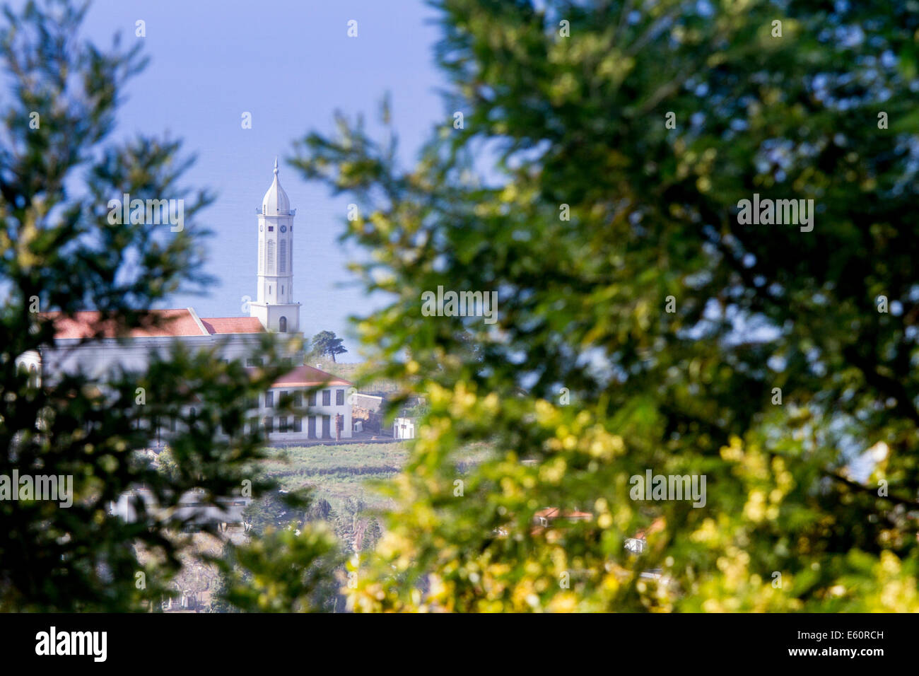 Views from dos Barcelos viewer, Funchal, Madeira, Portugal Stock Photo