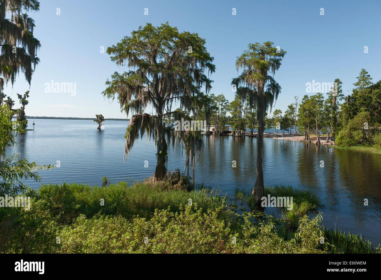 Blue cypress lake florida hires stock photography and images Alamy